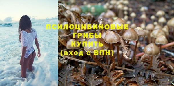 ECSTASY Вязники