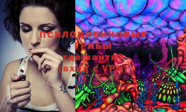 ECSTASY Вязники