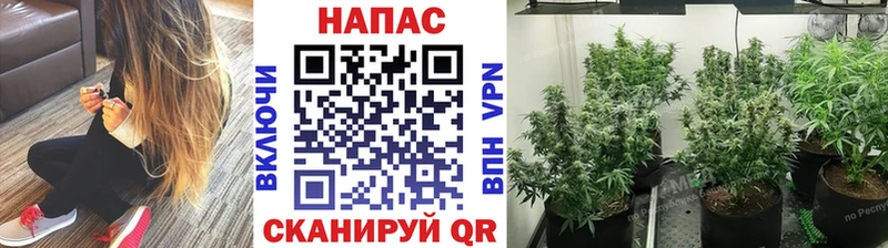 даркнет сайт  Черемхово  Марихуана тримм 